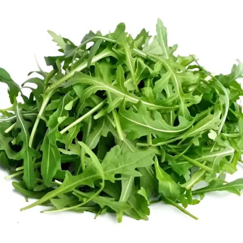 Rocket Green (Hydroponically Grown)