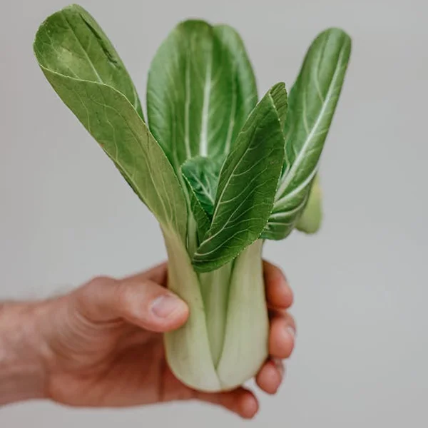 Bok Choy