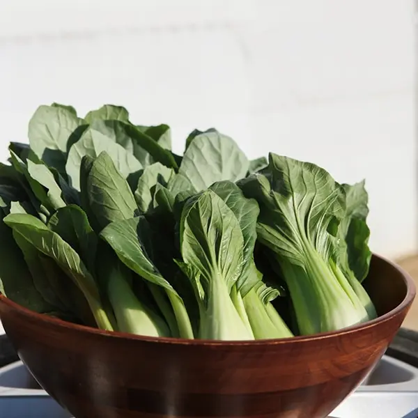 Bok Choy (Hydroponically Grown) - Image 3