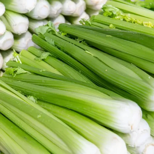 Celery
