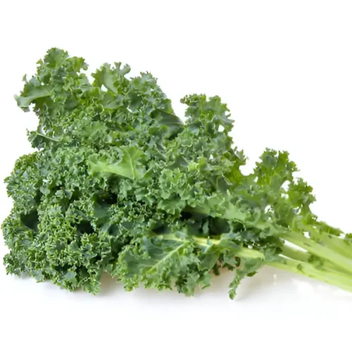 Kale Curly (Hydroponically Grown)
