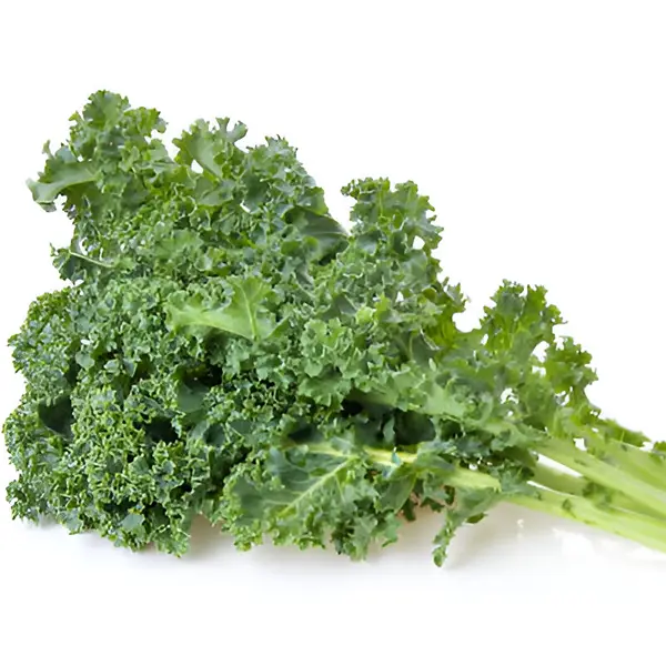 Kale Curly (Hydroponically Grown)