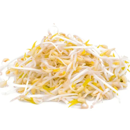 Mung Bean Sprouts (Long)