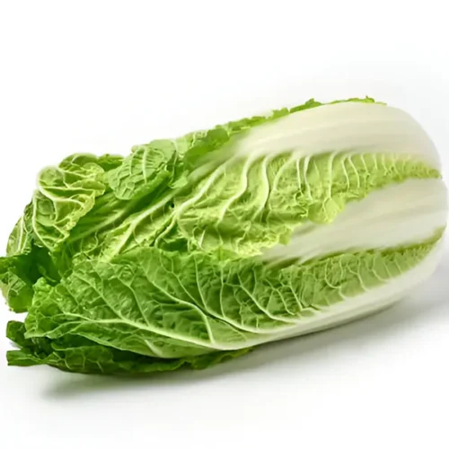 Napa Cabbage (Hydroponically Grown)