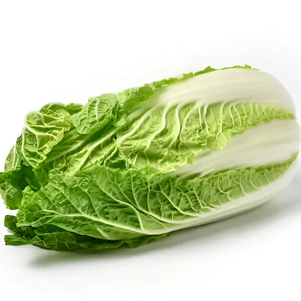 Napa Cabbage | Chinese Cabbage