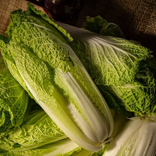 Napa Cabbage | Chinese Cabbage - Image 3