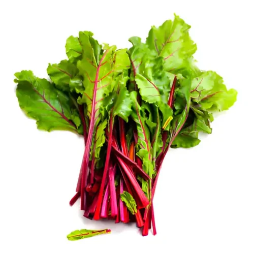 Swiss Chard (Hydroponically Grown)