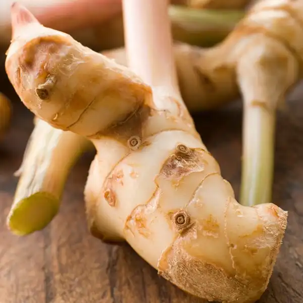 Galangal - Image 2