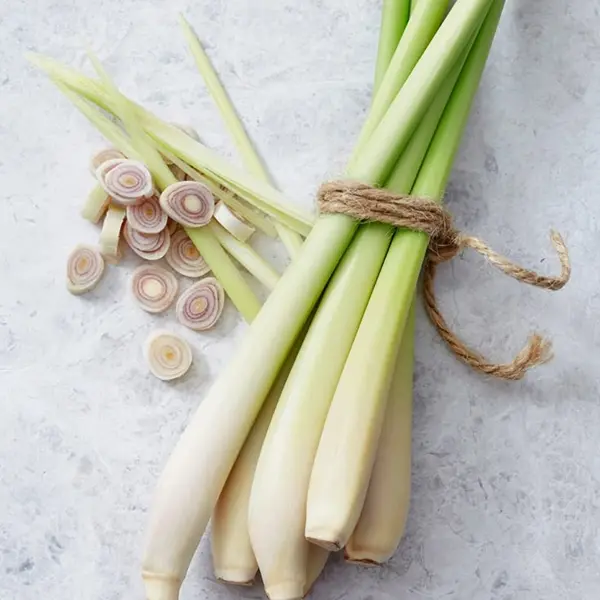 Lemongrass - Image 5