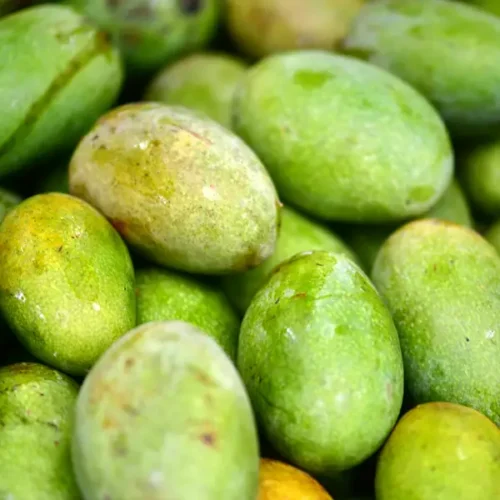 Raw Mango