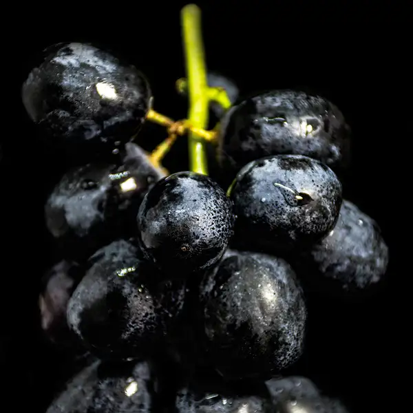 Grape Black