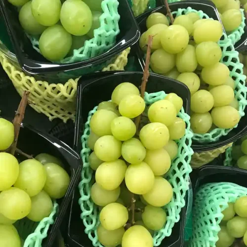 Grapes Green