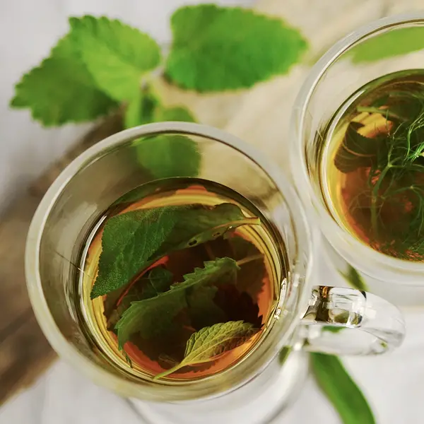 Mint Leaves - Image 2