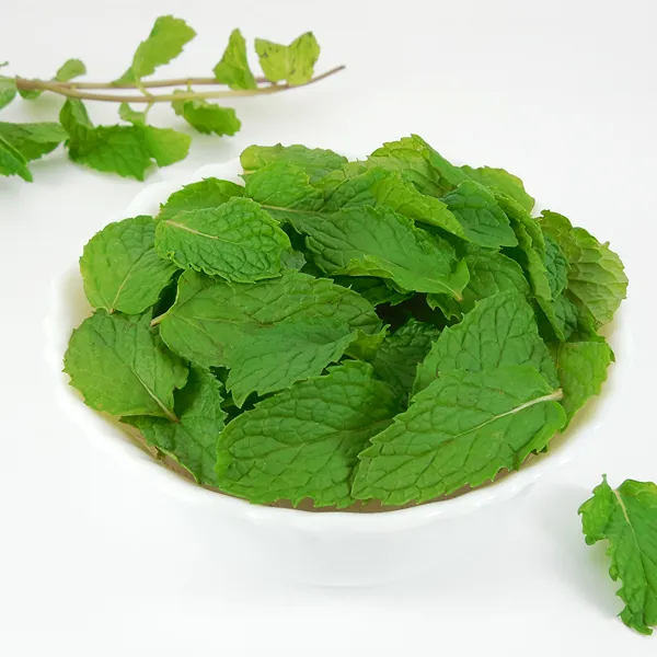 Mint Leaves - Image 3
