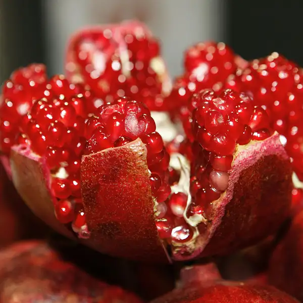 Pomegranate - Image 2