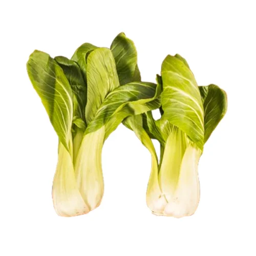 Bok Choy (Hydroponically Grown)