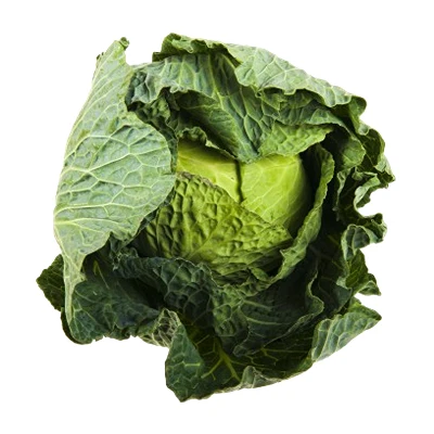 Cabbage