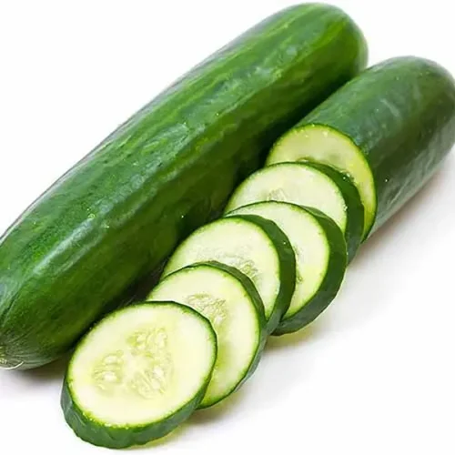 Cucumber