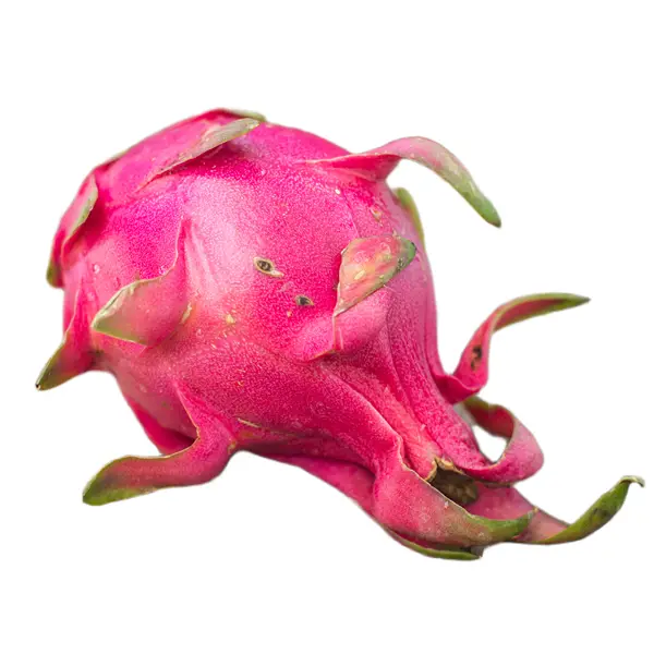 Dragon Fruit