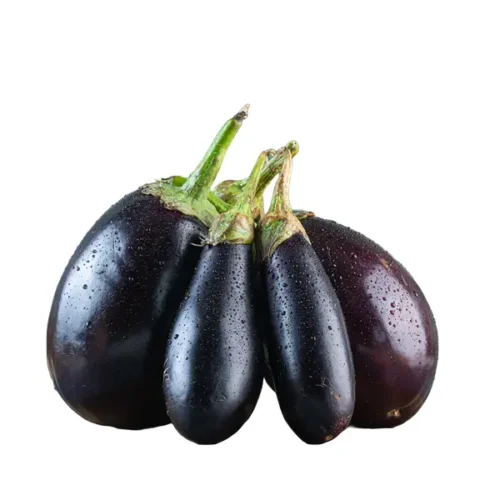 Eggplant