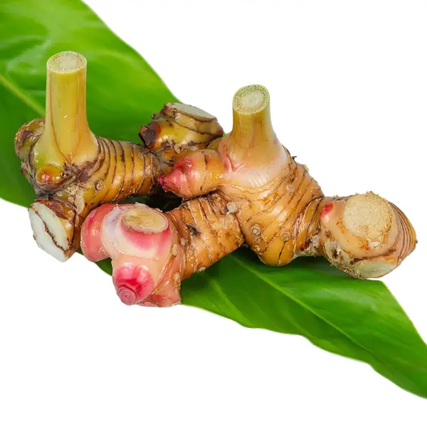 Galangal