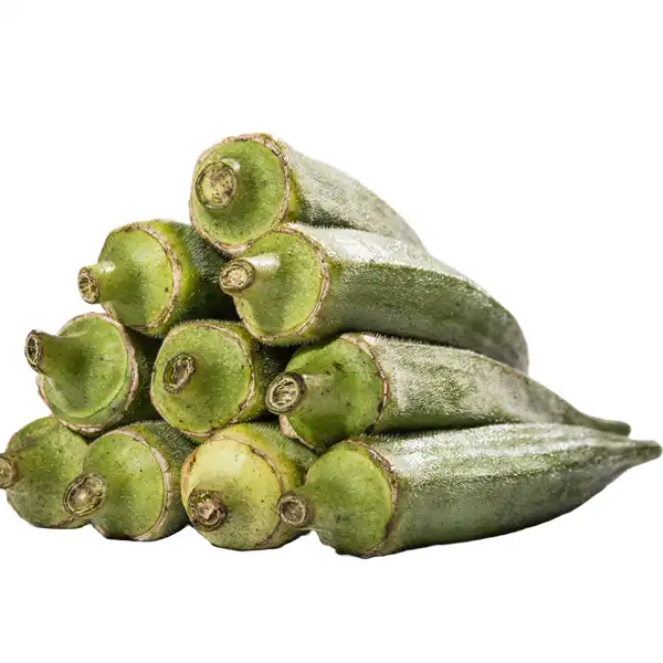 Ladyfinger