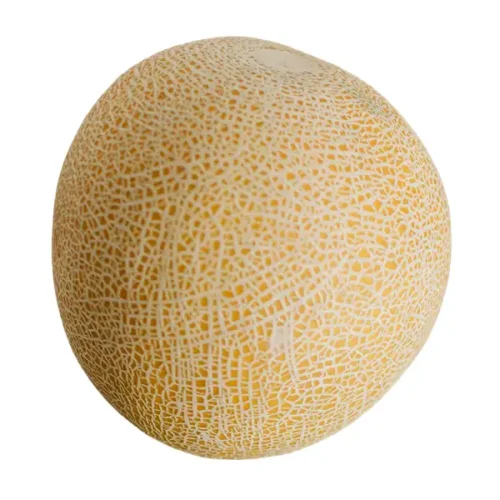 Muskmelon
