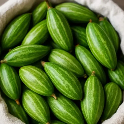 Pointed Gourd (Potal)