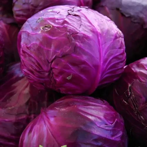 Red Cabbage