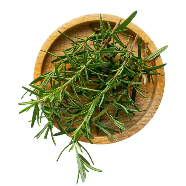 Fresh Thyme