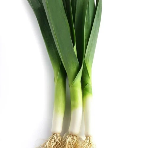 Leek