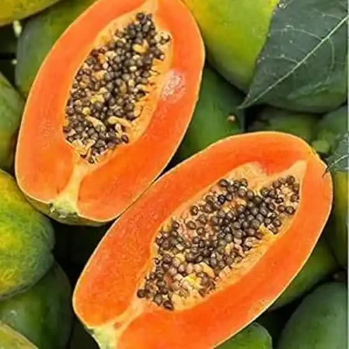 Papya Ripe