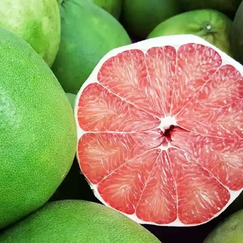 Pomelo (Robab Tenga)