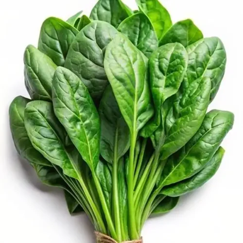 Spinach (Hydroponically Grown)