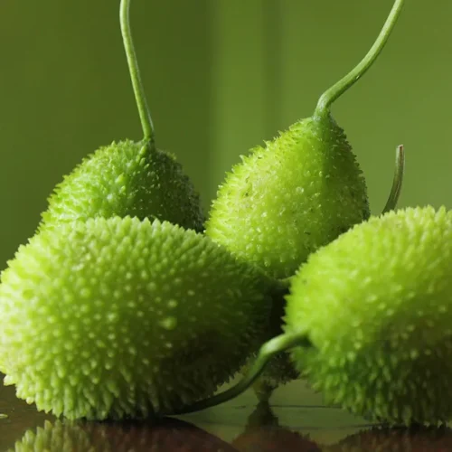 Spiny Gourd (Bhat Kerela)