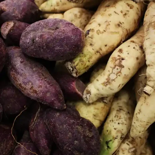 Sweet Potato