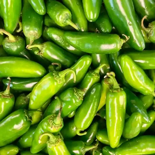 Jalapenos